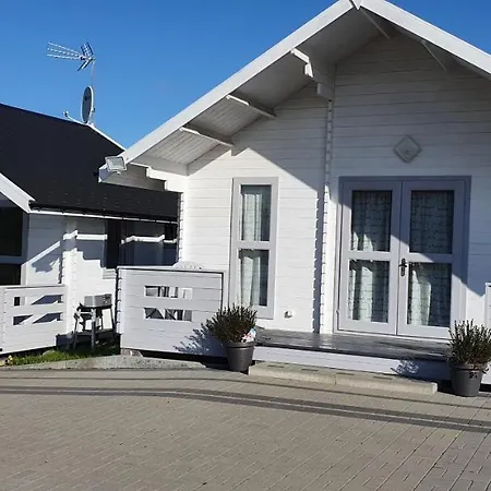 Komodor - Ozonowane *