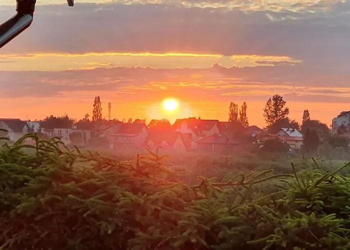 Komodor - Ozonowane *